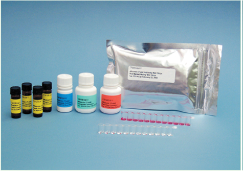 Aflatoxin test kit - Reveal for Aflatoxin - By Thermalindo